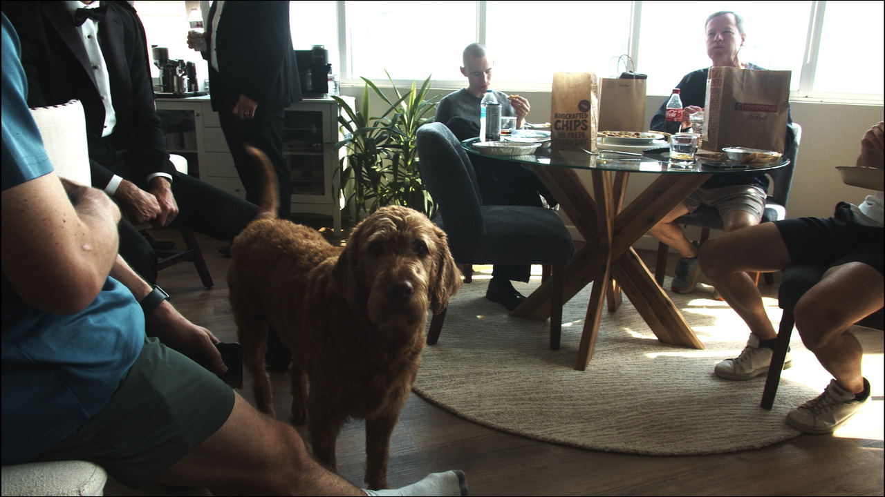Groomsmen sit in hotel room while dog stares at camera.