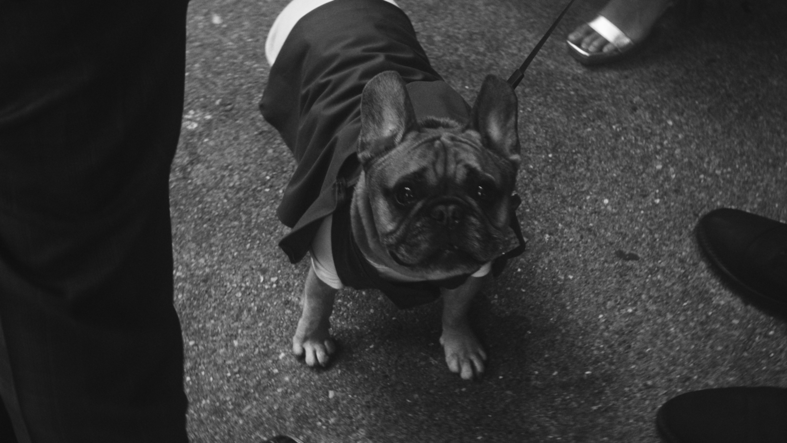 Clay & Kim (coming soon)